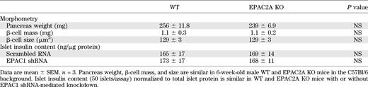 Morphometric analysis, islet insulin content, and EPAC isoform expression of WT and EPAC2A KO littermates