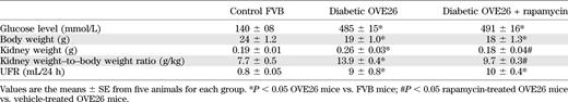 Glucose level, body weight, kidney weight, kidney weight–to–body weight ratio, and UFR of FVB control mice, OVE26 type 1 diabetic mice, and OVE26 mice treated with rapamycin
