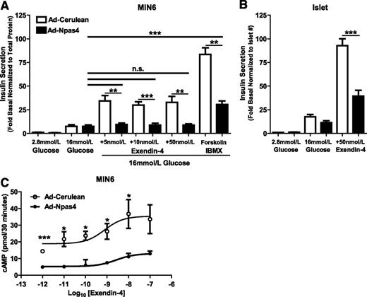 FIG. 5. Npas4 overexpression inhibits β-cell responsiveness to the GLP-1 receptor agonist exendin-4. MIN6 cells were transduced with control (Ad-Cerulean, white bars) or Npas4 (Ad-Npas4, black bars) adenovirus and then cultured for 48 h. No statistical difference was observed in glucose-stimulated insulin secretion in either MIN6 cells (n = 3–5) (A) or islets (n = 5–6) (B). However, exendin-4–potentiated insulin secretion was reduced after Ad-Npas4 transduction in both MIN6 cells (A) and mouse pancreatic islets (B). Npas4 overexpression diminished exendin-4–stimulated cAMP production in MIN6, significantly reducing maximal stimulation as well as shifting the EC50 from 0.76 to 2.65 nmol/L (n = 3) (C). Significance was determined using two-tailed Student t tests or a one-way ANOVA with Dunnett post hoc analysis where applicable. *P ≤ 0.05; **P ≤ 0.01; ***P ≤ 0.001.