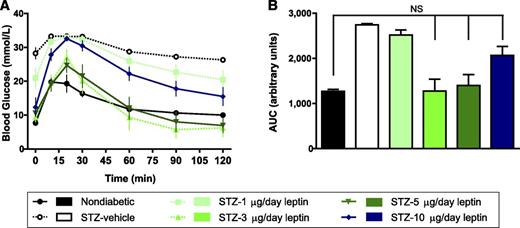 FIG. 2. Leptin improves glucose tolerance in STZ-diabetic mice in a dose-dependent manner. OGTTs were performed in nondiabetic controls and STZ-induced diabetic mice receiving different doses of leptin (STZ and 1, 3, 5, or 10 µg/day) or vehicle only (STZ-vehicle) after a 6-h fast on day 19 after surgery. Mice were gavaged with 2 g/kg glucose at time 0. Time course of blood glucose tracking (A) and AUC from 0–90 min (B). Four of five mice treated with 1 µg/day and all STZ-vehicle–treated mice had blood glucose above the detection limit (33.3 mmol/L) at one or more time points in which case values of 33.3 mmol/L were assigned. These groups were not included in statistical analyses. Two mice treated with STZ and 5 µg/day (STZ-5 µg/day) and one mouse treated with STZ and 3 µg/day (STZ-3 µg/day) had blood glucose <2.9 mmol/L at 90 min and were rescued with exogenous glucose. Data from these mice are omitted from the 120-min time point; n = 5 for 0–90 min and n = 3–5 for 120 min. Data are presented as mean ± SEM. NS, not significant.