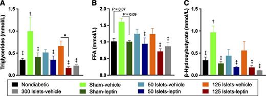 FIG. 6. Low-dose leptin administration normalizes lipid levels in STZ-diabetic mice. The 4-h fasted plasma triglycerides (A), FFA (B), and β-hydroxybutyrate (C) were measured in mice transplanted with islets with or without leptin and in untreated diabetic (sham-vehicle) mice, leptin-treated diabetic (sham-leptin) mice, and nondiabetic controls on day 12 after surgery. Data are presented as mean ± SEM (n = 3–5). *P < 0.05. †P < 0.05 vs. nondiabetic controls. ‡P < 0.05 vs. STZ-vehicle controls.