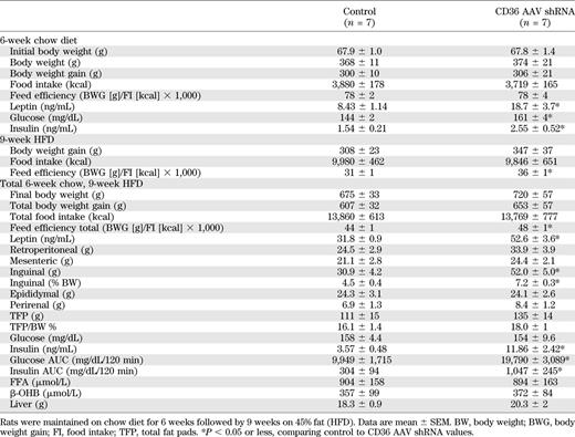 Morphometric and biochemical data for 19-week-old male Sprague-Dawley rats injected at 3 weeks old with control AAV shRNA or CD36 AAV shRNA in the VMH