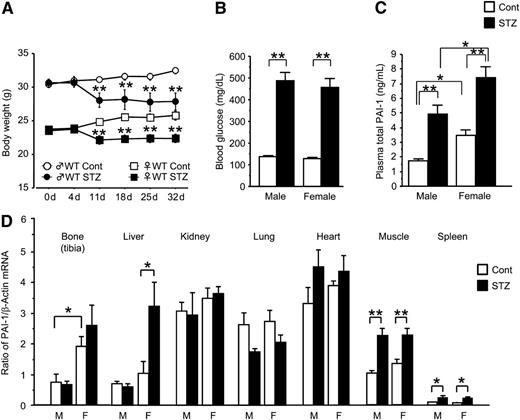 FIG. 1. Effects of streptozotocin treatment on circulating PAI-1 levels and PAI-1 expression in both sexes of WT mice. Growth curve during experiments (A) in control and streptozotocin-treated male and female of PAI-1 WT mice. Results are expressed as means ± SEM. **P < 0.01 vs. each control group (n = 5 in each group). Blood glucose (B) and plasma PAI-1 levels (C) in control and streptozotocin-treated male and female WT mice. Results are expressed as means ± SEM. *P < 0.05, **P < 0.01 (n = 5 in each group). Levels of PAI-1 mRNA in bone (tibia), liver, kidney, lung, heart, muscle, and spleen (D) in control and streptozotocin-treated male and female WT mice. Results are expressed relative to β-actin mRNA values and expressed as means ± SEM. *P < 0.05, **P < 0.01 (n = 5 in each group). Cont, control; d, day(s); F, female; M, male; STZ, streptozotocin.
