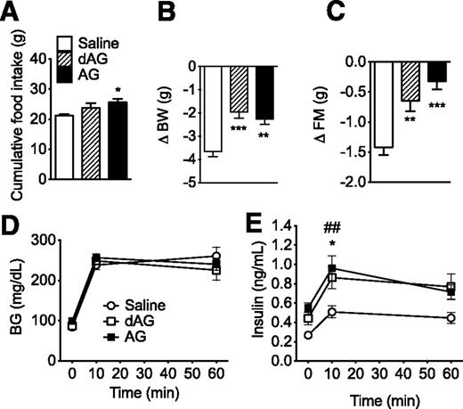 Figure 4. Effect of chronic intracerebroventricular dAG or AG infusion on energy and glucose metabolism. C57BL/6 mice were given intracerebroventricular infusion of saline, dAG, or AG for 6 days (5 nmol/day). AG significantly increased the 6-day cumulative food intake (A; *P < 0.05 vs. saline, one-way ANOVA with Tukey post hoc test). After the infusion period, mice that received intracerebroventricular AG or dAG lost less BW (B; **P < 0.01, ***P < 0.001 vs. saline, one-way ANOVA with Tukey post hoc test) and FM relative to saline-treated control animals (C; **P < 0.01, ***P < 0.001 vs. saline, one-way ANOVA with Tukey post hoc test). D: Neither AG nor dAG intracerebroventricular infusion altered intraperitoneal glucose tolerance. Plasma insulin levels were measured by radioimmunoassay and were elevated in mice treated with AG or dAG (E; *P < 0.05 dAG vs. saline; ##P < 0.01 AG vs. saline; two-way ANOVA with Bonferroni post hoc test). n = 8–9 animals per group.
