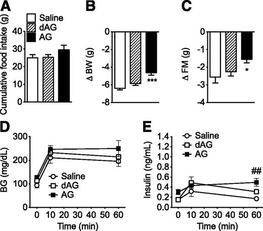 Figure 5. Effect of chronic subcutaneous dAG or AG infusion on energy and glucose metabolism. C57BL/6 mice were subcutaneously implanted with mini-pumps that infused AG or dAG for 6 days (120 nmol/day). A: Neither ghrelin compound had a significant effect on 6-day cumulative food intake. After the infusion period, mice treated with AG lost less BW (B) and FM relative to saline-treated controls (C), whereas dAG had no effect. Neither AG nor dAG infusion altered intraperitoneal glucose tolerance (D). Plasma insulin levels were measured by radioimmunoassay and were elevated in subcutaneous AG-treated mice at 60 min after glucose injection (E). *P < 0.05, ***P < 0.001 AG vs. saline, one-way ANOVA; ##P < 0.01 AG vs. saline; two-way ANOVA with Bonferroni post hoc test. n = 8–9 animals per group.