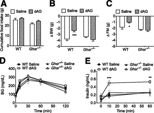 Figure 6. Effect of chronic intracerebroventricular dAG infusion on energy and glucose metabolism in Ghsr−/− mice. Ghsr−/− and age-matched WT mice were given intracerebroventricular infusion of saline or dAG ghrelin for 6 days (5 nmol/day). A: Intracerebroventricular dAG infusion did not alter feeding in WT or Ghsr−/− animals. After the infusion period, WT mice treated with intracerebroventricular dAG lost less BW (B) and FM (C) relative to WT saline-treated controls. Intracerebroventricular dAG infusion had no effect on BW (B) or FM (C) in Ghsr−/− mice. D: Intracerebroventricular dAG did not alter intraperitoneal glucose tolerance in either WT or Ghsr−/− animals. Plasma insulin levels were measured by ELISA and were elevated in WT mice treated with intracerebroventricular dAG (E) compared with WT mice treated with intracerebroventricular saline. E: Intracerebroventricular dAG treatment did not alter glucose-stimulated plasma insulin levels in Ghsr−/− mice compared with intracerebroventricular saline-treated Ghsr−/− mice. *P < 0.05, **P < 0.01, ***P < 0.001, WT saline vs. WT dAG; two-way ANOVA with Bonferroni post hoc test. n = 7–8 animals per group.