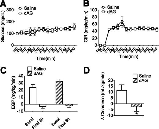 Figure 7. Effect of chronic intracerebroventricular dAG infusion on peripheral glucose homeostasis during an HEC. Mice received chronic intracerebroventricular infusion of dAG (5 nmol/day) for 5 days prior to an HEC. A: BG levels were clamped at similar levels in saline- and dAG-treated mice. B: Exogenous glucose infusion rate was similar in saline and dAG-treated mice. C: Basal EGP and suppression of EGP during the HEC were similar in saline- and dAG-treated mice. D: Animals treated with dAG had impaired insulin-mediated glucose disposal (*P < 0.05 saline vs. dAG; t test). n = 9–10 animals per group.