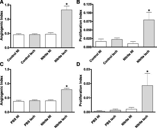 Figure 3. Quantitative measurement of sodium nitrite–mediated vascular density and cell proliferation. A: The panel reports quantitative measurement of the angiogenic index (CD31/DAPI ratio) from gastrocnemius muscle of ischemic (Isch) and nonischemic (NI) control (PBS)- and sodium nitrite (Nitrite)–treated diabetic mice from Fig. 1A, protocol schematic. B: The panel shows the quantitative measurement of the proliferation index (Ki67/DAPI ratio) from gastrocnemius muscle of Isch and NI control (PBS)- and sodium nitrite (Nitrite)–treated diabetic mice from Fig. 1A, protocol schematic. C: The panel reports the angiogenic index (CD31/DAPI ratio) from gastrocnemius muscle of Isch and NI control (PBS)- and sodium nitrite (Nitrite)–treated diabetic mice from Fig. 1C, protocol schematic. D: The panel illustrates the proliferation index (Ki67/DAPI ratio) from gastrocnemius muscle of Isch and NI control (PBS)- and sodium nitrite (Nitrite)–treated diabetic mice from Fig. 1C, protocol schematic. n = 10/cohort. *P < 0.05.