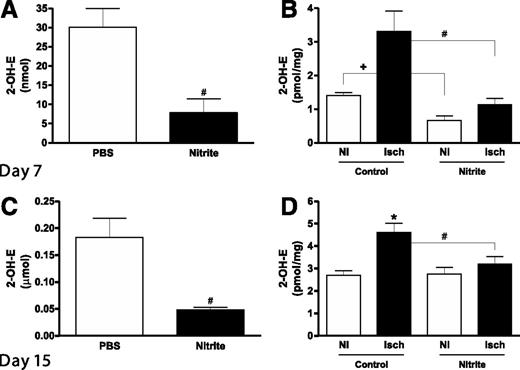 Figure 6. Sodium nitrite therapy effects on diabetic plasma and tissue oxidative stress. A: The panel shows the levels of superoxide measured in plasma 7 days after ischemia and 2 days after beginning treatment. B: The panel shows values of superoxide measured in ischemic (Isch) and nonischemic (NI) gastrocnemius tissues taken from control and nitrite-treated animals 7-days postligation (2 days after beginning therapy). C: The panel shows the difference in superoxide levels in the plasma of animals 21-days postligation and 16 days after beginning therapy. D: The panel shows the levels of superoxide measured in Isch and NI gastrocnemius tissue taken from control and nitrite-treated animals 21 days after ligation and 16 days after beginning treatment. n = 4/cohort. #P < 0.05 decreased superoxide between nitrite vs. PBS treatment in panels A and C, +P < 0.05 NI limb comparisons between nitrite vs. PBS treatment in panel B, #P < 0.05 nitrite ischemic limb decreased compared with PBS ischemic limb in panels B and D, *P < 0.05 PBS Isch compared with PBS NI in panel D.