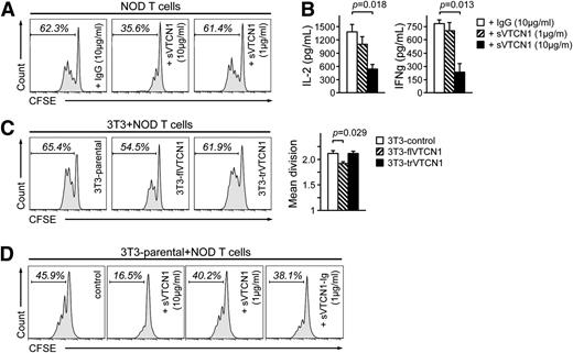 Figure 6. Functional impairment of sVTCN1 fragment. A: FACS analysis of proliferating CFSE-labeled NOD T cells incubated for 5 days with anti-CD3/anti-CD28–coated beads in the presence of indicated concentrations of sVTCN1 or IgG, as a nonspecific control. Percentages of proliferating T cells within the marked region are indicated. B: ELISA of IL-2 (left) and interferon-γ (right) secreted by activated NOD T cells 48 h after activation, as in A. Data are reported as the mean ± SEM (n = 3). C: FACS analysis of proliferating CFSE-labeled NOD T cells cocultured with 3T3-flVTCN1 cells or 3T3-trVTCN1 cells and activated by anti-CD3/anti-CD28–coated beads for 5 days. The 3T3 parental cell line was used as a control. Percentages of proliferating T cells within the marked region are indicated. The mean division cycle of the activated T cells is shown on the right histogram. Data are reported as the mean ± SEM (n = 3). D: FACS analysis of proliferating NOD T cells after activation with anti-CD3/anti-CD28–coated beads performed in coculture with 3T3 parental cells with or without the addition of indicated concentrations of sVTCN-Ig or sVTCN1. Percentages of proliferating T cells within the marked region are indicated. One-way ANOVA with Tukey post hoc test (B and C).
