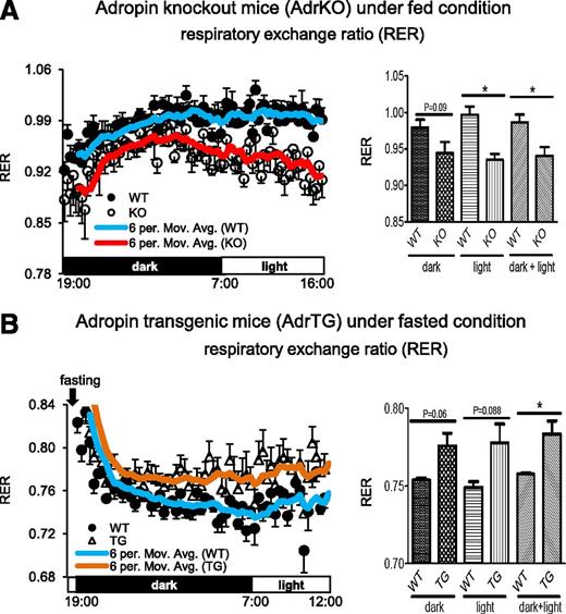 Figure 1. A: The AdrKO mice and WT littermates were maintained in a fed condition. RER was monitored in one dark-light cycle (n = 4–9). B: Food was removed from the AdrTG mice and the WT littermates before the dark onset, and RER was monitored in the following dark-light cycle (n = 6–10). The six-period moving average trend line was calculated to represent the data points. *P < 0.05.
