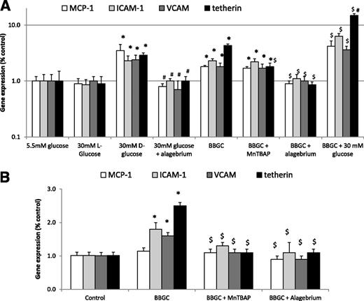 Figure 1. The induction of adhesion molecules and chemokines in aortic endothelial cells from C57BL/6 (A) and RAGE KO mice (B) following exposure to dicarbonyl stressors, high glucose, and the glyoxalase inhibitor, BBGC. *P < 0.05 vs. control; #P < 0.05 vs. hyperglycemia; $P < 0.05 vs. BBGC.