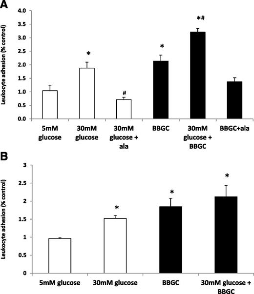 Figure 2. The induction of endothelial activation following exposure to dicarbonyl stressors, high glucose, and/or the glyoxalase inhibitor, BBGC, as denoted by increased adhesion of labeled leucocytes to an endothelial monolayer from C57BL/6 mice (A) and RAGE KO mice (B). Ala, alagebrium. *P < 0.05 vs. control; #P < 0.05 vs. hyperglycemia.