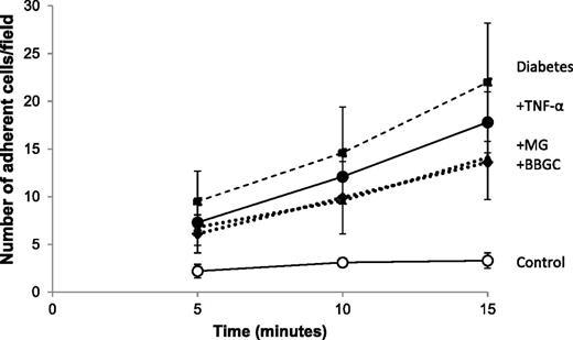 Figure 4. The induction of endothelial activation following exposure to dicarbonyl stressors, diabetes, MG, or the glyoxalase inhibitor, BBGC, as denoted by increased adhesion of labeled leukocytes to the aortic wall during dynamic flow conditions. TNF-α is presented as a positive control. TNF-α, tumor necrosis factor-α.