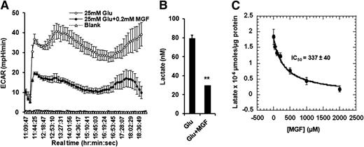 Figure 5. MGF inhibits lactic acidosis. A: ECAR recorded in the same Seahorse Bioscience Metabolic Flux experiments as shown in Fig. 4E. B: Lactate formed in the experiments shown in A was measured by a d-lactate assay kit. C: C2C12 myotubes were incubated overnight in glucose-free and sodium pyruvate–free DMEM containing l-glutamine and 2% horse serum, in the presence of various concentrations of MGF, and then incubated in media containing 25 mmol/L glucose in the presence of matching concentrations of MGF for 8 h. Media were collected, and lactate in the media was measured by a d-lactate assay kit (Eton Biosciences). These experiments were all conducted three to four times and each time with triplicates for each condition. Values are average ± SEM. **P < 0.01. P values were obtained by t test.