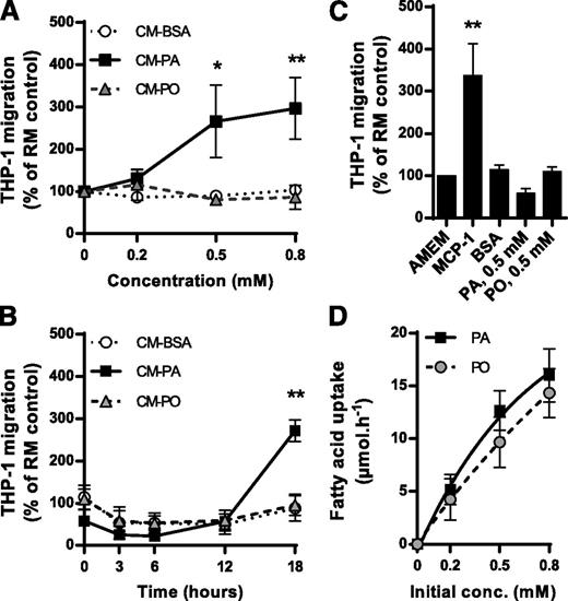 Figure 1. CM from palmitate-treated muscle cells attract monocytes. A: Migration of THP1 monocytes toward CM-PA, CM-PO, or CM-BSA collected from L6 myotubes treated for 18 h with PA, PO, or BSA, respectively. B: Transmigration of THP1 monocytes toward CM from L6 myotubes treated with 0.5 mmol/L fatty acids for 0, 3, 6, and 18 h. C: CCL2/MCP1 (100 ng/mL) was used as a positive control, and the effect of PA and PO on migration was controlled by placing 0.5 mmol/L fatty acids in the bottom chamber and testing THP1 monocyte transmigration. D: Fatty acid uptake by L6 myotubes treated for 18 h was measured as described in Research Design and Methods. All results are reported as the mean ± SEM, n ≥ 4. *P < 0.05, **P < 0.01 vs. BSA control. AMEM, αMEM; conc., concentration; RM, regular medium used to culture L6 myotubes.