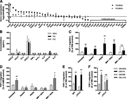 Figure 3. The attractant released by muscle cells is not a chemokine. L6 myotubes were treated with 0.5 mmol/L PA or PO for 18 h. A: Cytokine and chemokine expression was analyzed using qPCR arrays. B: Cytokine and chemokine content in myotube CM were analyzed by Luminex multiplex immunoassay. C: CM from myotubes were heat inactivated (95°C, 20 min) or treated with proteinase K (PROK; 100 μg/mL for 1.5 h at 37°C) to denature proteins. Untreated CM was also filtered through a 3-kDa cutoff membrane, and the included and excluded fractions were tested separately for monocyte chemoattraction activity. D: Myotubes were treated for 18 h with 100 ng/mL LPS. CM-LPS was then collected and tested in a migration assay as described above. E and F: CM-PA and CM-LPS were treated with blocking antibodies against CCL2/MCP1 or IgG control. Results are reported as the mean ± SEM, n ≥ 4. *P < 0.05, **P < 0.01 vs. BSA control. AMEM, αMEM; MW, molecular weight; N.D, not detectable; ns, not significant; RM, regular medium used to culture L6 myotubes.