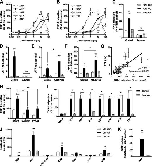 Figure 5. Palmitate induces nucleotide release by muscle cells to attract monocytes. A and B: Migration of THP1 monocytes toward graded doses of purine and pyrimidine nucleotides. C and D: CM-PA and CM-PO collected from muscle cells were treated with apyrase (0.2 international units [IU]/mL final) for 1 h. E and F: Myotubes were treated with 0.5 mmol/L BSA/PA in the presence of the ecto-nucleotidase inhibitor ARL67156 (100 µmol/L) for 18 h. The ATP content and chemoattraction activity of the corresponding CM were then measured. G: Correlation between ATP concentration in CM and monocyte migration. H: CM from myotubes were supplemented with the P2 receptor antagonists suramin (100 µmol/L) and PPADS (200 µmol/L) before testing monocyte migration. I: Apyrase (0.2 IU/mL final for 1 h) was added to solutions containing nucleotide triphosphates at the concentration that caused half-maximal stimulation of monocyte chemoattraction for each nucleotide before testing monocyte migration. J and K: Nucleotides were measured using liquid chromatography coupled to mass spectrometry. Monocyte migration and ATP concentration were measured as described in Research Design and Methods. Results are reported as the mean ± SEM. n ≥ 4. *P < 0.05, **P < 0.01, ***P < 0.001 vs. BSA control. AMEM, αMEM; CMP, cytidine monophosphate; CTP, cytidine triphosphate; GMP, guanosine monophosphate; IMP, inosine monophosphate; ns, not significant; RM, regular medium used to culture L6 myotubes; UMP, uridine monophosphate.