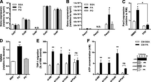 Figure 6. Nucleotides are released through pannexin-3 channels. L6 myotubes were challenged with 0.5 mmol/L PA, PO, or BSA for 18 h. A and B: The expression of several pannexins and Cxs was measured by qPCR. C: Myotubes were treated with NF-κB inhibitor parthenolide (PTN, 25 µmol/L) during the fatty acid challenges, and then pannexin-3 expression was determined. D: Uptake of YO-PRO was used as an index of channel opening as described in Research Design and Methods. E and F: Silencing Cx43, Cx45, and Pan3 in myotubes was performed using siRNA oligonucleotides (200 nmol/L), CM were collected, and their THP1 monocyte-chemoattracting activity or ATP concentration was determined. Insert: Efficiency of transfection measured by qPCR. Results are reported as the mean ± SEM. n ≥ 4. *P < 0.05, **P < 0.01. ND, not detectable; ns, not significant; Panx and Pan, pannexin; RM, regular medium used to culture L6 myotubes; si, siRNA.