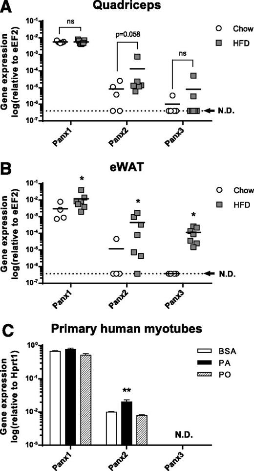 Figure 7. Pannexin (Panx) channel expression rises with HFD feeding in mice and upon palmitate exposure in human myotubes. A and B: Male C57BL/6J mice were fed an HFD for 18 weeks. The expression of pannexins in quadriceps muscle and eWAT was measured by quantitative RT-PCR. Results are reported as the mean, n ≥ 4. Dotted line represents the threshold of detection. C: Primary human myotubes were treated with 0.5 mmol/L palmitate, palmitoleate, or the BSA control for 24 h. Expression of pannexins was measured using quantitative RT-PCR. Results are reported as the mean ± SEM, n ≥ 4. *P < 0.05, **P < 0.01. eEF2, eukaryotic translation elongation factor 2; N.D., not detectable; ns, not significant vs. control. Since chow samples were undetectable for Panx3, the Wilcoxon test was used, setting the hypothetical value at the detection threshold.