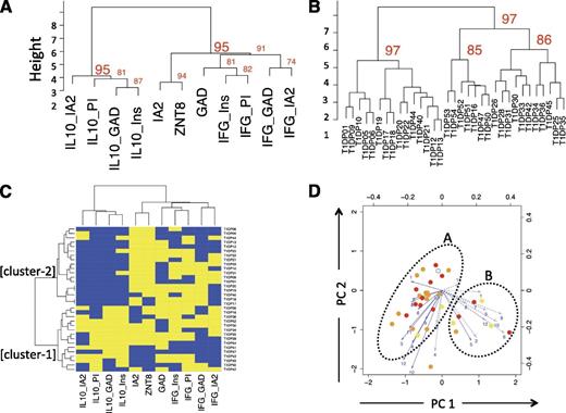 Figure 1. Cluster analysis of autoreactive T-cell and AAb responses in the blood close to diagnosis of type 1 diabetes. Blood samples from 33 children with newly diagnosed type 1 diabetes were analyzed for the quality (IFN-γ, IL-10, and AAbs) and specificity (proinsulin, insulin, IA-2, GAD65, and ZnT8) of autoimmune responses, generating results for 27 analytes summed to show responsiveness to the parent antigens. A: Dendrogram showing agglomerative hierarchical clustering analysis, which reveals two highly stable autoimmune response clusters (bootstrap support for the main nodes ≥95%), a combination of islet AAbs and IFN-γ responses to all antigens tested (right cluster) as distinct from IL-10 responses to all antigens tested (left cluster). B: Dendrogram showing agglomerative hierarchical clustering analysis in which patients with type 1 diabetes form two distinct clusters (bootstrap support for the main nodes ≥97%) of approximately equal size. C: Combined analysis of the patient and autoimmune response clusters using unbiased hierarchical clustering in a heat map illustrating that the major discriminating factor between the two patient agglomerations is the presence of an IL-10 response (cluster-1, bottom left). Yellow indicates a positive response to an analyte and blue a negative response. CD4 T-cell peptide-specific responses are summarized into proteins (IA-2, GAD, proinsulin, and insulin). D: Plots showing the two principal components (PCs) of autoreactive T-cell responses in patients with type 1 diabetes, each identified as circles. The color of the symbol indicates AAb positivity (open = no AAb; yellow = 1 AAb+; orange = 2 AAb+; red = 3 AAb+). Numbered arrows represent vectors indicating the influence of individual analyte responses on PC1 and PC2. The length of the arrow reflects the strength of the effect. Solid lines are IFN-γ responses and broken lines IL-10 responses. Numbers 1–12 are the peptide identifiers (Table 1). The ovals outline putative patient clusters, with cluster A predominantly reflecting IFN-γ and cluster B IL-10 responses. IFG, interferon-γ; Ins, insulin; PI, proinsulin.