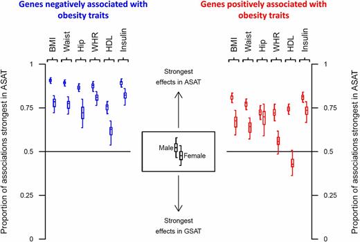 Figure 3. Obesity trait and gene associations in GSAT and ASAT. For each gene significantly associated with an obesity-descriptive trait (BMI, waist, hip, WHR, HDL, or insulin) in either AT depot, the gradient of association was compared between depots (separately for males and females). The estimated proportion of genes for which the strongest obesity trait association occurred is displayed (central line in box) with bootstrapped 50% (represented by boxes) and 95% CIs (represented by error bars). A value of 1 indicates that all gene associations were strongest in ASAT; a value of 0 indicates that all gene associations were strongest in GSAT.