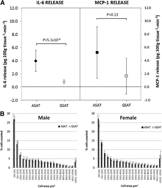 Figure 6. Measurement of depot-specific adipokine release from GSAT and ASAT. A: The release of IL-6 and MCP-1 from GSAT-ASAT pairs was determined by arteriovenous measurements. Data are shown as mean values within each depot ± 95% CIs. Statistical significance was assessed using a Wilcoxon signed-rank test. B: Cell size (area µm2) of GSAT and ASAT adipocytes was determined from hematoxylin and eosin–stained histological sections in males (n = 5) and females (n = 5). Mean ± SEM.