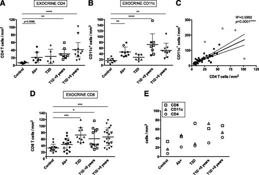 Figure 2. Diabetic donors present high exocrine infiltration. A, B, and D: Mean exocrine density values (cells/mm2) for each donor and group are shown for CD4+, CD11c+, and CD8+. (CD4: n = 10 for control subjects, n = 8 Ab+, n = 6 T2D, n = 8 T1D <5 years, and n = 11 T1D >5 years. CD11c: n = 10 control subjects, n = 9 Ab+, n = 8 T2D, n = 9 T1D <5 years, and n = 10 T1D >5 years. CD8: n = 15 control subjects, n = 14 Ab+, n = 11 T2D, n = 12 T1D <5 years, and n = 19 T1D >5 years.) Open symbols indicate donors in which the nPOD Pathology Core found signs of insulitis. C: Linear regression analysis of CD4 and CD11c density (n = 42). Outliers are shown as open circles. The corresponding R2 and P values are indicated in the graph. E: Mean density value (cells/mm2) for CD8+, CD4+, and CD11c+ cells for the exocrine pancreas is shown. For statistical analysis, nonparametric Kruskal-Wallis test followed by Dunn multiple comparisons test was used to determine significance. Linear regression analysis was used in C. Outliers were identified using the Rout method (FDR of 1% [Q = 1]). Two and one outliers from the control group were identified in A and D, respectively; in B, one control, one T2D, and two T1D donors were identified as outliers. *Significant difference between groups (P ≤ 0.05); **significant difference between groups (P ≤ 0.01); ***significant difference between groups (P ≤ 0.001); ****significant difference between groups (P ≤ 0.0001).