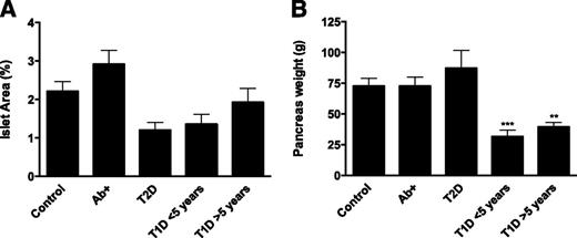 Figure 4. T1D donors present lower islet area and pancreatic weight compared with healthy control subjects. A: Bars represent mean relative islet area (%) for each group based on insulin and glucagon staining. Differences among the groups were not statistically significant, but a strong tendency to lower area in T1D and T2D donors was seen. B: Bars represent mean pancreatic weight for each group based on information provided by nPOD (n = 14 control subjects, n = 14 Ab+, n = 11 T2D, n = 11 T1D <5 years, and n = 19 T1D >5 years). For statistical analysis, one-way ANOVA with Holm-Sidak multiple comparisons test and Kruskal-Wallis followed by Dunn multiple comparisons test were used to determine significance in A and B, respectively. Mean ± SEM values are shown. **Significant difference between groups (P ≤ 0.01); ***significant difference between groups (P ≤ 0.001).
