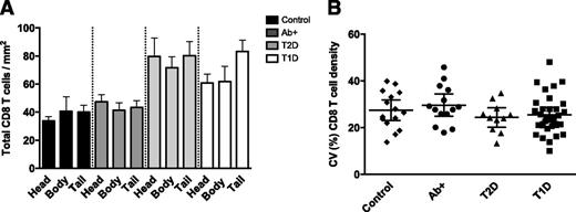 Figure 5. CD8 T cells are similarly distributed in the pancreas of diabetic donors and control subjects. A: Bars represent mean CD8 T cell density (cells/mm2) for each region (head, body, and tail) and group (n = 23 control subjects, n = 32 Ab+, n = 21 T2D, and n = 33 T1D). Mean ± SEM values are shown. B: Population mean and 95% CIs of interimage variation (CV) in total CD8 T cell density are shown for each donor and group (n = 15 control subjects, n = 14 Ab+, n = 11 T2D, and n = 31 T1D). For statistical analysis, one-way ANOVA with Holm-Sidak multiple comparisons test in B and Kruskal-Wallis followed by Dunn multiple comparisons test in A were used to determine significance.