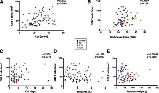 Figure 6. Correlation between CD8 T cell density and clinical parameters. Correlation analysis of CD8 T cell density and clinical parameters, corresponding P and r values are shown for control subjects (black), Ab+ (red), T1D (blue), and T2D (green). A: CD8 T cell density correlates with age (r = 0.2850; P = 0.0160; n = 71). B: CD8 T cell density does not correlate with BMI (r = 0.1897; P = 0.1271; n = 66). C: There was no correlation between CD8 T cell density and time spent in ICU (r = 0.2186; P = 0.0778; n = 66). CD8 T cell density does not correlate with relative islet area (r = −0.1978; P = 0.0982; n = 71) (D) or pancreas weight (r = −0.07899; P = 0.5188; n = 69) (E). Linear regression analysis was used to determine significance. *Significant correlation (P ≤ 0.05).