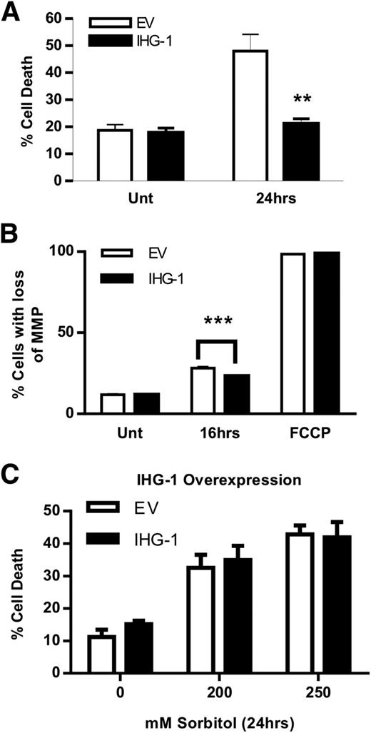 Figure 8. IHG-1 protects cells from apoptosis. HeLa cells stably overexpressing IHG-1 or control cells (empty vector) were treated with 10 mU/mL glucose oxidase. A: Apoptotic cells were detected at 24 h by annexin V/PI staining and analysis by flow cytometry. B: Mitochondrial membrane potential was assessed at 16 h using TMRE staining and flow cytometric analysis. C: HeLa cells stably overexpressing IHG-1 or control cells (empty vector) were treated with the indicated concentrations of sorbitol. Apoptotic cells were detected at 24 h by annexin V/PI staining and analysis by flow cytometry. **P < 0.01; ***P < 0.001; mean ± SEM; n = 3 throughout. EV, empty vector; MMP, mitochondrial membrane potential.