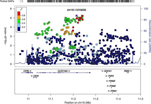Figure 1. Type 1 diabetes association results on 16p13.13. A total of 939 SNPs (genotyped and imputed) were tested for association with type 1 diabetes in 3,070 multiplex families (12,485 individuals) using the TDT. The log10 of the P value for this test is plotted relative to the physical position on the chromosome for each SNP. The most significant results were obtained for rs34306440 (P = 5.74 × 10−6), marked in purple. The color of all other SNPs indicates pairwise linkage disequilibrium with rs34306440, as measured by the r2 statistic. Symbol shapes indicate those SNPs genotyped only on the custom panels (snowflake), genotyped only on the ImmunoChip (circle), and genotyped on both panels (square). cM/Mb, centimorgan/megabase.