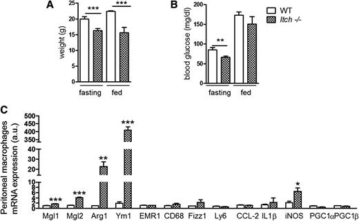 Figure 1. Metabolic characterization of Itch−/− mice. Six-week-old WT and Itch−/− mice fed a ND. Weight (A) and blood glucose concentration (B) (n = 8 per group; **P < 0.005, ***P < 0.001, Student t test). Data are means ± SD. C: Peritoneal macrophage gene expression analysis. Expression of mRNA was determined by real-time PCR and normalized to β-actin (n = 4 per group; *P < 0.05, **P < 0.005, ***P < 0.001, Student t test). Data are means ± SD. iNOS, inducible nitric oxide synthase; a.u., arbitrary units.