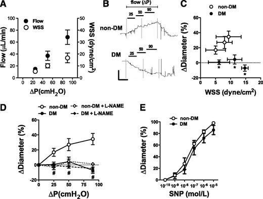 Figure 1. A: Step increases in inflow and outflow pressure (ΔP, 25, 50, and 90 cmH2O) elicited increases in intraluminal flow (●) and resulted in increases in WSS (○). Representative recordings (B) and summary data of changes (C) in the diameter of coronary arterioles isolated from patients without (○, n = 13) and with DM (●, n = 16) in response to increases in WSS. D: WSS-induced changes in diameter of coronary arterioles of DM (●, n = 4) and non-DM patients (○, n = 5) in the absence and presence of the NOS inhibitor l-NAME (◇ and ♦, respectively). E: Changes in the diameter of coronary arterioles isolated from non-DM (○, n = 7) and DM (●, n = 7) subjects in response to NO donor, sodium nitroprusside (SNP). Data are means ± SEM. *, DM vs. non-DM patients; #, non-DM vs. non-DM+L-NAME. P < 0.05.