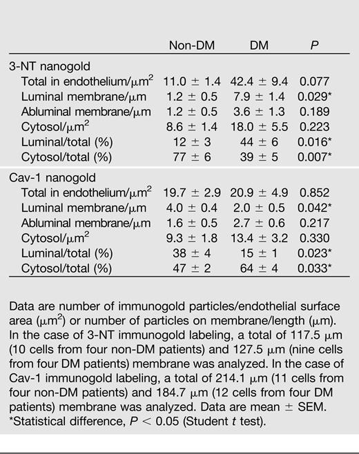 Quantification of 3-NT and Cav-1 immunogold distribution