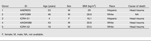 Summary information for the deceased organ donors used for the human islet transplantation studies