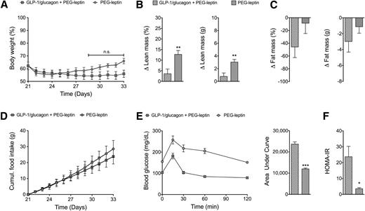 Treatment with a GLP-1 receptor agonist diminishes the decrease in free ...