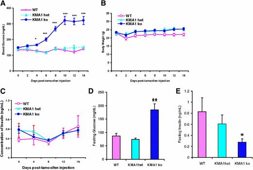 Figure 2. Conditional knockout IG20/MADD gene in β-cells leads to hyperglycemia in KMA1ko mice. Mice were injected with 40 mg/kg/day tamoxifen in 100 μL peanut oil for 5 consecutive days and then tested for body weight and levels of blood glucose and insulin. Results are shown for nonfasting blood glucose levels (A), body weight (B), nonfasting blood insulin levels (C), fasting (16 h) blood glucose levels (D), and fasting blood insulin levels (E). The x-axis shows days after the first injection of tamoxifen. Data are expressed as means ± SE. One-way ANOVA analysis was performed. *P < 0.05, **P < 0.01, ***P < 0.01 with KMA1ko mice vs. WT; n = 10–12 mice per genotype.