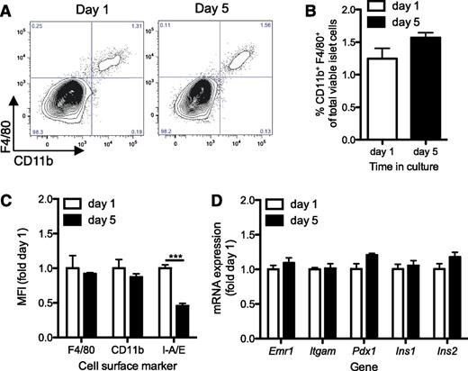 Figure 1. Resident macrophages survive in cultured mouse islets. Islets were isolated from 12-week-old C57BL/6 mice and cultured for 1 or 5 days in RPMI at 37°C. A: Islets were dispersed for analysis of F4/80 and CD11b expression by flow cytometry. B and C: The proportion of CD11b+F4/80+ cells among all viable islet cells and mean fluorescence intensity (MFI) of the indicated cell surface marker was assessed at each time point. White bars, day 1; black bars, day 5. D: mRNA expression of macrophage and β-cell genes was assessed by RT-qPCR. Expression levels were normalized to the housekeeping gene Rplp0. Data are mean ± SEM of islets from three mice and represent two independent experiments. ***P < 0.001.