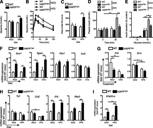 Figure 4. Transgenic mice with β-cell expression of hIAPP have impaired islet function associated with an elevated ratio of pro- to anti-inflammatory cytokines. Female hIAPPTg/o and wild-type (WT) littermate controls were placed on NCD (13% kcal from fat) or HFD (45% kcal from fat) for 14 weeks starting at 10 weeks of age. Fasting glycemia (A) and glucose tolerance (B) were assessed at 14 weeks following intraperitoneal injection of 0.75 g/kg glucose and by evaluation of the area under the glycemia curve up to 120 min (C). White bars, WT; black bars, hIAPPTg/o; ○, WT, NCD; ●, hIAPPTg/o, NCD; □, WT, HFD; ■, hIAPPTg/o, HFD. D: Plasma insulin during intraperitoneal glucose tolerance test was measured by ELISA. E: Glucose-stimulated insulin secretion in isolated islets was measured by ELISA and normalized to insulin content, which did not differ among groups. White bars, WT, NCD; black bars, hIAPPTg/o, NCD; speckled bars, WT, HFD; hatched bars, hIAPPTg/o, HFD. mRNA expression of macrophage and β-cell genes (F), anti-inflammatory cytokines (G), proinflammatory markers (H), and the ratio of Il1b to Il1rn (I) was assessed by RT-qPCR, and expression levels were normalized to the housekeeping gene Rplp0. Data are mean ± SEM of 9–14 mice per group and represent three independent experiments. *P < 0.05, **P < 0.01, ***P < 0.001.