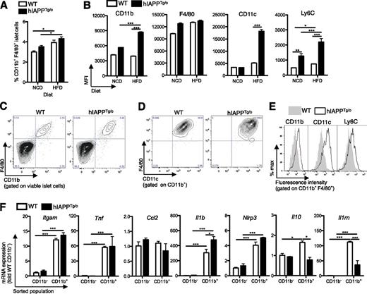 Figure 5. β-Cell expression of hIAPP skews islet macrophages toward a proinflammatory phenotype. Female hIAPPTg/o and wild-type (WT) littermate controls were placed on NCD (13% kcal from fat) or HFD (45% kcal from fat) for 14 weeks starting at 10 weeks of age. Islets were isolated and dispersed for flow cytometric analysis of the proportion of CD11b+F4/80+ cells (A) and the mean fluorescence intensity (MFI) of the indicated cell surface marker (B). White bars, WT; black bars, hIAPPTg/o. Representative plots show staining of macrophages from HFD-fed mice gated on all islet cells (C), CD11b+ cells (D), and CD11b+F4/80+ cells (E). F: CD11b+F4/80+ cells were sorted from other islet cells from HFD-fed mice, and mRNA expression of the sorted populations was assessed by RT-qPCR. Expression levels were normalized to the housekeeping gene Rplp0. Data are mean ± SEM of six to nine mice per group and represent two independent experiments. *P < 0.05, **P < 0.01, ***P < 0.001.