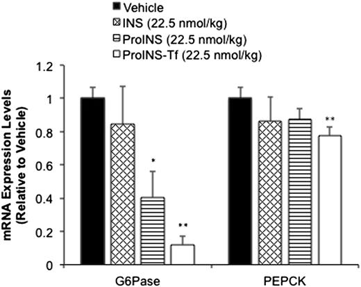 Figure 4. Inhibition of hepatic G6Pase and PEPCK mRNA expression levels by subcutaneously injected PBS (vehicle), ProINS-Tf, ProINS, or INS at 12 h postinjection. Equimolar dose of INS (0.13 mg/kg), ProINS (0.21 mg/kg), or ProINS-Tf (2 mg/kg) was administered to STZ-induced diabetic mice through subcutaneous injection. At 12 h postinjection, liver was excised, perfused with PBS, and immediately frozen in liquid nitrogen. Total RNA was extracted and reversely transcribed to cDNA, from which the expression of G6Pase, PEPCK, and GAPDH were measured using real-time PCR. The mRNA levels of G6Pase and PEPCK were normalized to GAPDH expression. Data were presented as relative expression in protein-treated group compared with vehicle (buffer-treated) group using the comparative CT method. Data marked with asterisks indicate statistically significant differences compared with vehicle group using Student t test. *P < 0.05; **P < 0.01.