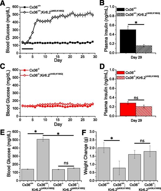 Figure 1. Prevention of Kir6.2[ΔN30,K185Q]-induced hyperglycemia. A: Mean time course of ad libitum–fed blood glucose levels after tamoxifen injection in Cx36+/+;Kir6.2[ΔN30,K185Q] mice (open diamond) and control Cx36+/+ mice (solid square). Duration of daily tamoxifen injections indicated by solid line. B: Mean plasma insulin levels at day 29 after tamoxifen injection in Cx36+/+;Kir6.2[ΔN30,K185Q] mice (hashed bar) and control Cx36+/+ mice (solid bar). C: As in A for Cx36−/−;Kir6.2[ΔN30,K185Q] mice (open diamond) and control Cx36−/− mice (solid square). D: As in B for Cx36−/−;Kir6.2[ΔN30,K185Q] mice (hashed bar) and control Cx36−/− mice (solid bar). E: Mean ad libitum blood glucose levels for all groups of mice, averaged over days 27–29 postinduction. F: Mean weight change for all groups of mice, between days 1 and 29 postinduction. Data in A, C, E, and F averaged over n = 22 (Cx36+/+;Kir6.2[ΔN30,K185Q]) and n = 21 (Cx36+/+) littermates. Data in B, D, E, and F averaged over n = 21 (Cx36−/−;Kir6.2[ΔN30,K185Q]) and n = 24 (Cx36−/−) littermates. *Significant difference (P < 0.05, two-tailed Student t test); ns, no significant difference (P > 0.05) between each experimental group as indicated. Error bars represent mean ± SEM.
