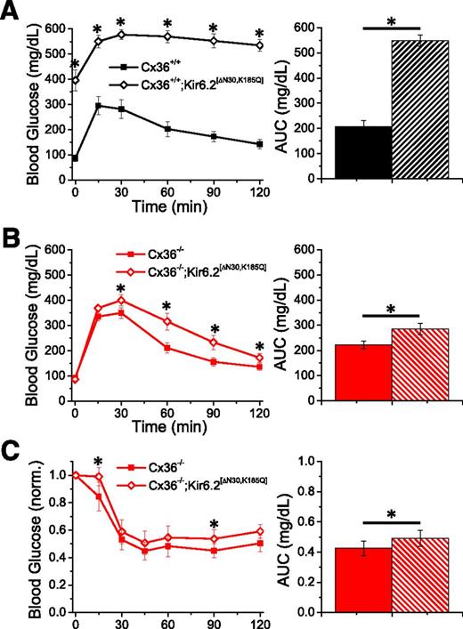Figure 2. Improved glucose tolerance. A: IPGTT on Cx36+/+;Kir6.2[ΔN30,K185Q] mice (open diamond) and control Cx36+/+ mice (solid square) after 2 g/kg body weight intraperitoneal glucose injection. Right: Area under the curve (AUC) of the glucose excursion. n = 6 littermate mice in each group. B: As in A for Cx36−/−;Kir6.2[ΔN30,K185Q] mice and control Cx36−/− mice. n = 11 littermate mice in each group. C: ITT for Cx36−/−;Kir6.2[ΔN30,K185Q] mice and control Cx36−/− mice after 0.075 units/kg intraperitoneal insulin injection after 0 time point. n = 13 littermate mice in each group. *Significant difference (P < 0.05, two-tailed paired Student t test) between each experimental group as indicated. Error bars represent mean ± SEM.