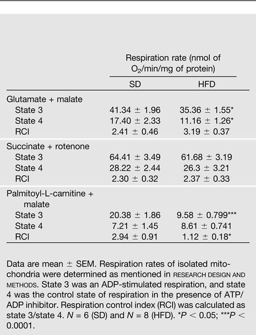 Mitochondrial respiration rates and respirational control index in isolated mitochondria from SD- and HFD-fed mice