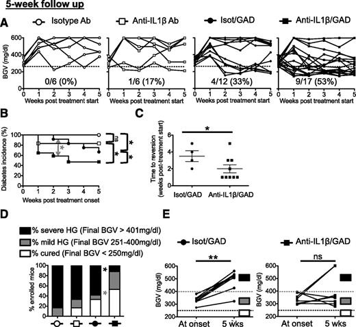 Figure 1. Anti–IL-1β/GAD65 DNA combination, but not anti–IL-1β treatment alone, can reverse HG in recent-onset diabetic RIP-GP mice. A: Individual BGVs (in mg/dL) in groups of recent-onset diabetic mice upon different treatments: isotype antibody (Ab; open circles), anti–IL-1β Ab (open squares), isotype Ab plus GAD65 DNA vaccine (closed circles), or anti–IL-1β Ab plus GAD65 DNA vaccine (closed squares). Dashed horizontal lines represent threshold for enrollment (250 mg/dL). B: Cumulative diabetes incidence after 5-week follow up in mice enrolled with BGV between 250 and 400 mg/dL. Significance from Gehan-Breslow test, which gives more weight to early reversals, is depicted in gray on the graph, whereas that of log-rank test is depicted in black. C: Time to reversal to normoglycemia. Only one mouse reverted in the anti–IL-1β treated group and was not depicted. Mean ± SEM is represented. D: Fractions of mice 5 weeks posttreatment that were cured (final BGV <250 mg/dL; white bars), mildly HG (final BGV 251–400 mg/dL; gray bars), and severely HG (final BGV >401 mg/dL; black bars). E: BGV at and 5 weeks after treatment onset in those mice that were not cured by their respective treatment. The Wilcoxon signed-rank test was used to determine statistical significance for paired values. Data pooled from seven independent experiments are shown. *P < 0.05; **P < 0.01. ns, not significant.