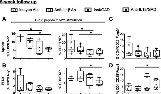 Figure 2. Effector CD8 T-cell responses are reduced and Treg responses are improved after GAD65 DNA vaccine and CT. Frequencies of IFN-γ– and TNF-producing GP33–41-specific CD8+ effector T cells in spleen (A) and PLNs (B) of treated mice. After 5-week treatment, spleens and PLNs were mashed onto 70-μm cell strainers to obtain single-cell suspensions. Cells were then plated in round-bottom 96-well plates and left unstimulated or stimulated for 4 to 5 h with 5 μg/mL (CD8 T-cell–specific) GP33 peptide in the presence of brefeldin A (10 μg/mL). Cells were then surface stained with fluorochrome-coupled CD8 antibodies, fixed, permeabilized, and stained with fluorochrome-coupled IFN-γ and TNF antibodies. Data are expressed as percent of gated CD8+ cells. Frequencies of Foxp3-expressing CD4+CD25+ Tregs in spleen (C) and PLNs (D) of treated mice. In parallel to the intracellular cytokine staining, cells were stained for CD4, CD25, and intracellular Foxp3. Data are expressed as percent of gated CD25+Foxp3+ within CD4+ cells. Results from two to three pooled experiments with two to three mice per group are shown. *P < 0.05. Ab, antibody.