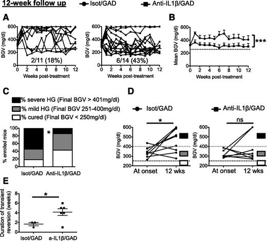 Figure 3. Anti–IL-1β/GAD65 DNA CT can reverse HG until 8 weeks after the treatment has been stopped. A: Individual BGVs (in mg/dL) in groups of recent-onset diabetic mice upon different treatments: isotype antibody plus GAD65 DNA vaccine (closed circles) or anti–IL-1β antibody plus GAD65 DNA vaccine (closed squares). B: Mean BGV in mice depicted in A. Mean ± SEM is represented. Data pooled from four independent experiments are shown. C: Fractions of mice 12 weeks posttreatment that were cured (final BGV <250 mg/dL; white bars), mildly HG (final BGV 251–400 mg/dL; gray bars), and severely HG (final BGV >401 mg/dL; black bars). D: BGV at and 12 weeks after treatment onset in those mice that were not cured by their respective treatment. The Wilcoxon signed-rank test was used to determine statistical significance for paired values. Data pooled from five independent experiments are shown. E: Duration assessment of transient disease reversal observed in those mice that were not cured by isot/GAD treatment (three of nine, 33%) and CTs (six of eight, 75%). *P < 0.05; ***P < 0.0001 (two-tailed paired t test). a-IL-1β, anti–IL-1β; ns, not significant.