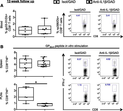 Figure 4. Effector CD8 and CD4 T-cell responses at 12 weeks post onset are largely unaffected by the CT in spleen, PLNs, and blood. A (leftpanel): Frequencies of gp33/Db pentamer–positive CD8 T cells in the blood of treated mice. A (rightpanel): Representative fluorescence-activated cell sorting plots depicting frequencies of np396/Db pentamer–positive CD8 T cells in the blood of treated mice. Cells were pregated on Live/Dead Aqua–negative and CD8+CD19− cells. B: Frequencies of TNF-producing GP33–41-specific CD8+ effector T cells in spleen (top left panel) and PLNs (bottom left panel) of treated mice after 12 weeks of observation, as well as representative fluorescence-activated cell sorting plots for frequencies of IFN-γ–producing cells (right panel). Data are expressed as percent of gated CD8+ cells. Results from two pooled experiments with two to four mice per group are shown. *P < 0.05.
